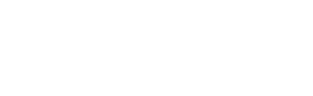Calculated Solutions
